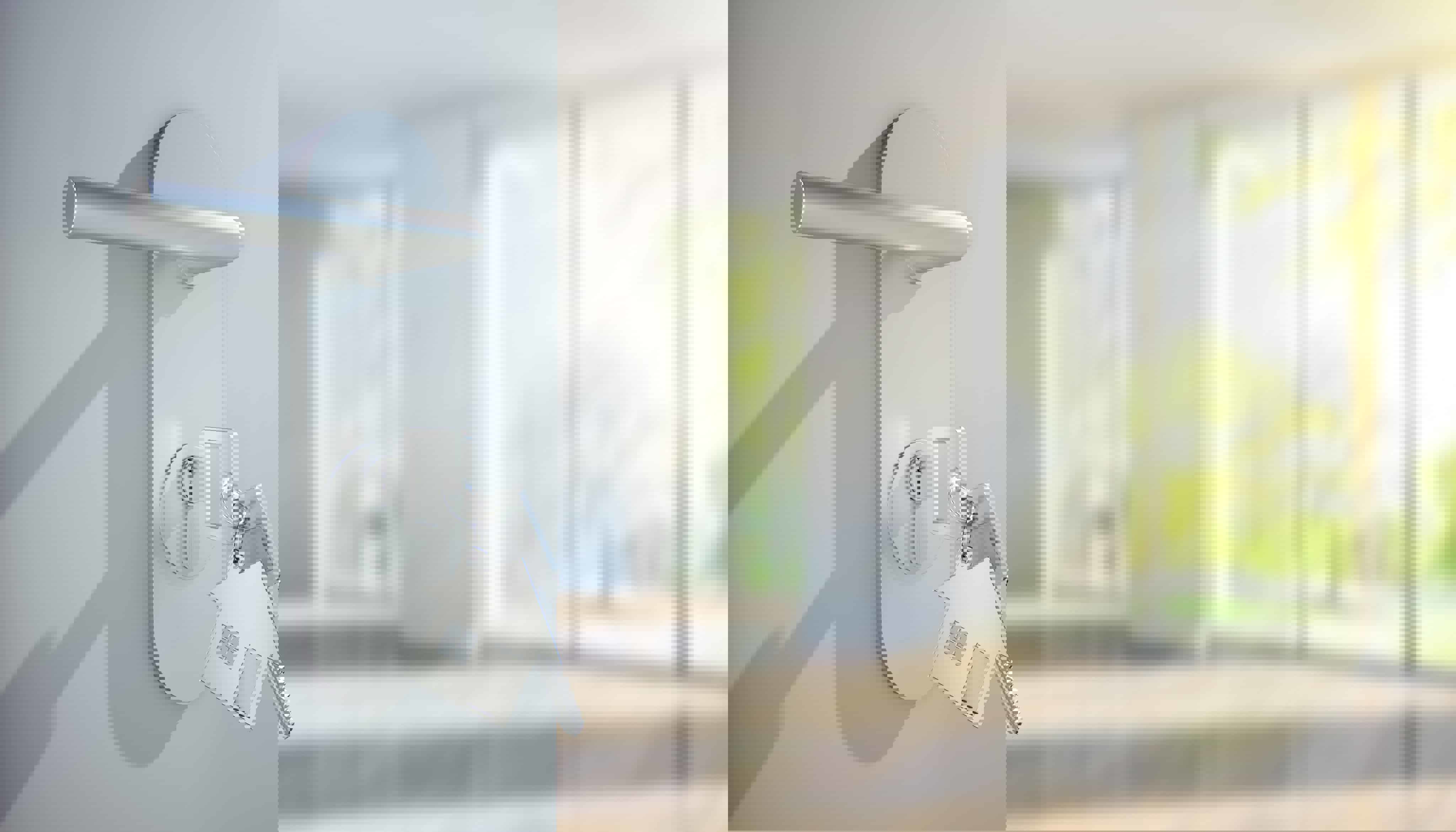 納税猶予を受けている土地